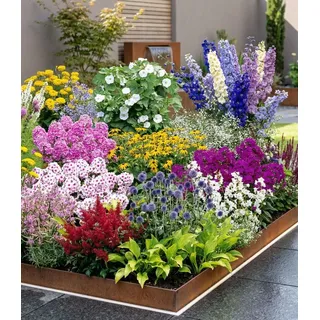 BALDUR Garten 12er Set Buntes Staudenbeet 'Multi-Colour', Pflanzen im 7x7 cm-Topf, Staudengarten, Stauden-Sortiment, Rittersporn, Schleierkraut, Ph...