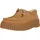 Beige 37
