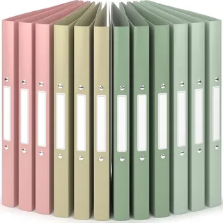 ACROPAQ Ringbuch DIN A4 25 mm Erde 12 St.