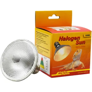 Lucky Reptile Halogen Sun - 100 W Wärmestrahler für E27-Fassungen - Halogenstrahler für Reptilien - Terrarium Lampe mit Tageslichtspektrum - Wärmelampe dimmbar