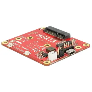 DeLock Speicher-Controller mSATA - USB 2.0