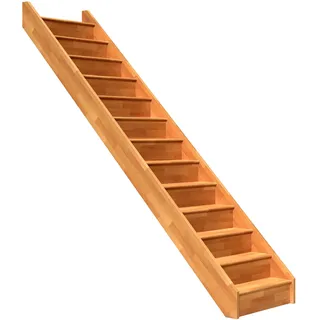 DOLLE Wangentreppe Paris gerade mit Setzstufen Buche FSC