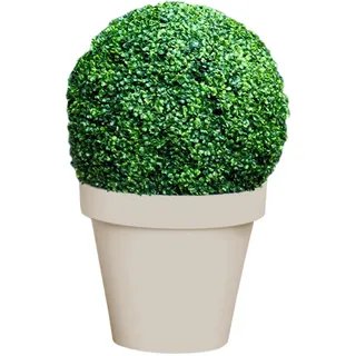Mojawo Künstliche Kunstpflanze Buchsbaum Ø 35cm