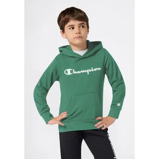 Champion Hoodie Green 164