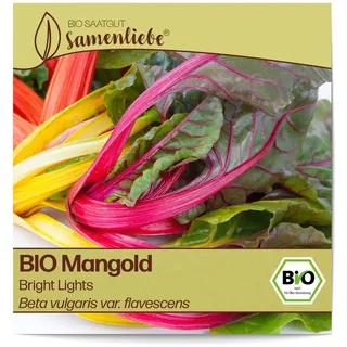 Samenliebe BIO Mangold Samen Bright Lights Rainbow Stielmangold bunt gelb 70 Samen samenfestes Gemüse Saatgut für Gewächshaus Freiland und Balkon BIO Gemüsesamen