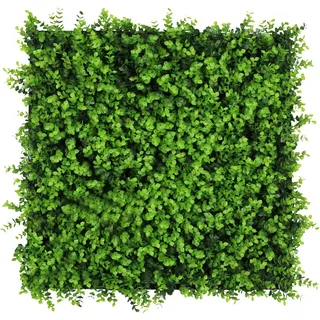 52 x 52 cm mixed green buxus