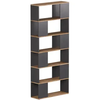 Vicco Raumteiler Eneos 80 x 186 x 24 cm Anthrazit/Goldkraft Eiche