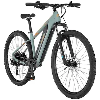 Fischer Montis 2.2 Active 29 Zoll RH 43 piniengrün matt