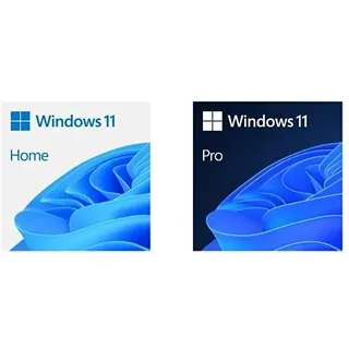 Microsoft Windows 11 Pro ESD ML