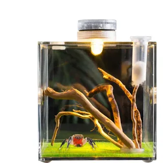 Qfdiwr Springspinnen Gehege, Springspinne Habitat, Acryl Vogelspinnen Gehege, Spinnen Terrarium Kit, Springspinne Wohnraum, Spinnenkäfig, Käfer Terrarium, Insektenterrarium, 5,5x5,5x5,5 cm