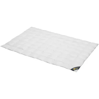 SPESSARTTRAUM Gold extra leicht (Größe: 155x220 cm