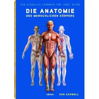 Die Anatomie des Menschlichen Körpers