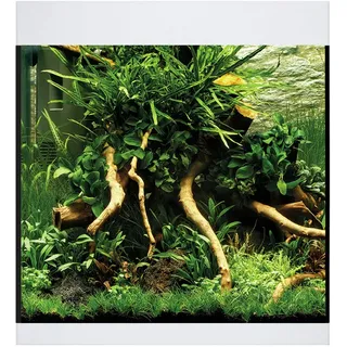 OASE StyleLine 85 85 l Aquarium weiß