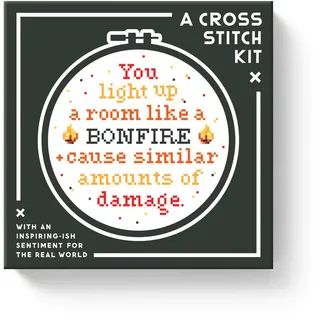 Abrams & Chronicle You Light Up A Room Cross Stitch Kit