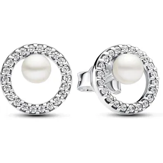Pandora Ohrstecker Timeless Silber 293154C01