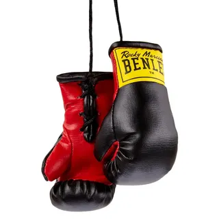 BENLEE Rocky Marciano Unisex – Erwachsene Mini Gloves, Black, one Size 199027