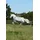 Bucas Power Turnout Regendecke 115 Silber