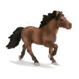 SCHLEICH Islandpferd braun - Schleich World of Nature - Horses - Figur - Pferde-Figur