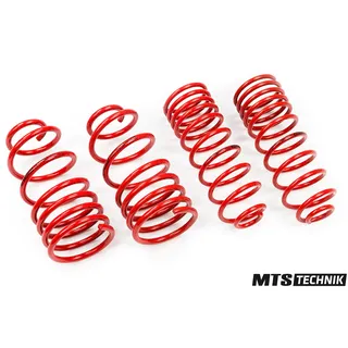 MTS Tieferlegungsfedern für BMW 5er/G31 Kombi G31 520i/530i/518D/520D 03/17 -
