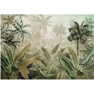 WallArena - Vlies Fototapete Wald Amazonia Dschungel Tropische Natur Pflanzen 312x219 cm - Fototapeten - Tapeten - für Wohnzimmer Schlafzimmer - Vliestapete Wandtapete Tapete 3D Effekt- inkl. Kleister