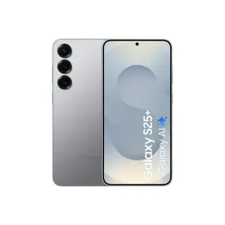 Samsung Galaxy S25+ 5G 256 GB Silver Shadow