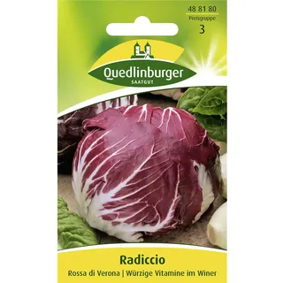 Radicchio, Rossa di Verona