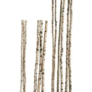 iWerk Birkenstamm 180 cm ø 2-4 cm