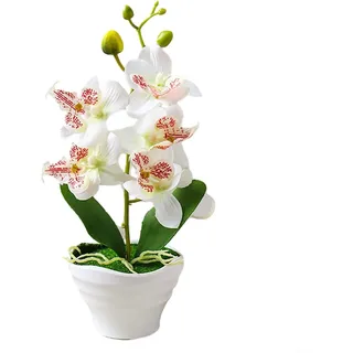 Künstliche Bonsai, Phalaenopsis, Topfpflanze, Blume, Orchidee, Blumendekoration, künstliche Orchidee, Blumentopf, Blumendekoration für Zuhause (C)