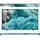 QE55Q7F 55" QLED 4K Vision AI Smart TV Q7F (EU-Modell)