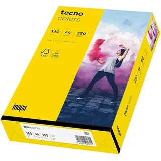 Inapa tecno A4 160 g/m2 250 Blatt