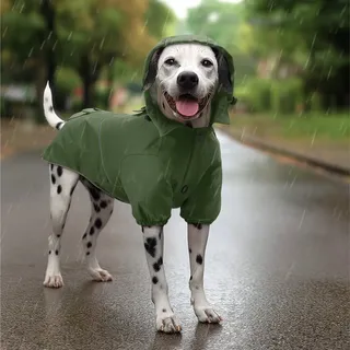 Navaris Hunderegenmantel Regenmantel Regenjacke für Hunde - Regenmantel Hund wasserdicht grün