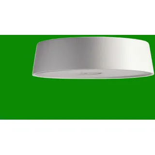 Deko-Light Kopf Magnetleuchte MIRAM - Leuchtenkopf zur Kombination - Tisch-/Wand-/Pendelleuchte, 3.7V, DC, 2.20 W grün