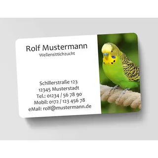 100 Visitenkarten, laminiert, 85 x 55 mm, inkl. Kartenspender - Wellensittich Vogel Zucht