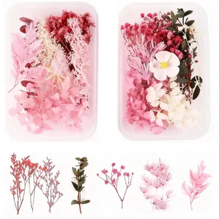 MUYAPAY Natürliche Trockenblumen, 2 Boxen mit Gemischten Echten Getrockneten Blumen in Pink für Basteln DIY-Kerzen Schmuck Scrapbooking, Kleine Deko Blumen für Vasen Kunstblumen Tisch Deko Fake Flower