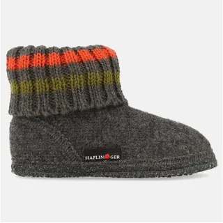 HAFLINGER Paul Grau 31