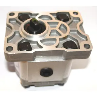 WOODSTER LV 80 - Hydraulikpumpe Ölpumpe Pumpe  Brennholzspalter