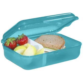 Step By Step Lunchbox Turtle Josie Türkis