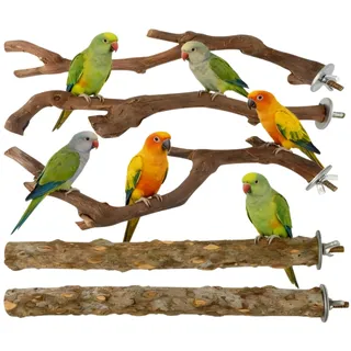 HJYDGJ 2er Set Wellensittich Sitzbrett Zubehör Vogelkäfig Zubehör Sitzbretter für Vögel Wellensittich Vogelkäfig Wellensittich Wellensittich Zubehör Nymphensittich Zubehör Kanarienvogel Zubehör