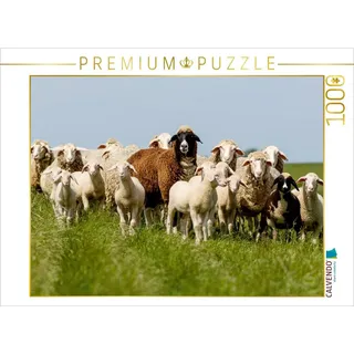 Calvendo Schafherde am Deich in Ostfriesland Puzzle