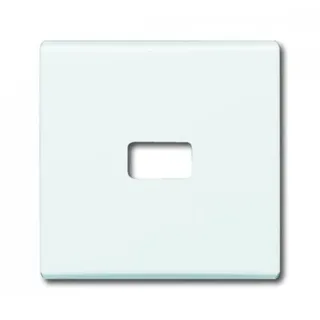 Busch-Jaeger Wippe offen für Symbol 2120-32