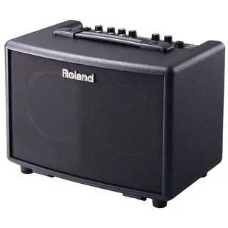 Roland AC-33