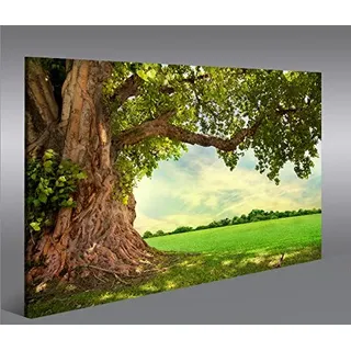 islandburner Bild Bilder auf Leinwand Alter Baum Landschaft Natur Grün 1p XXL Poster Leinwandbild Wandbild Dekoartikel Wohnzimmer Marke