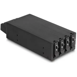 DeLock 47126 Festplatten-Wechselrahmen M.2, SAS