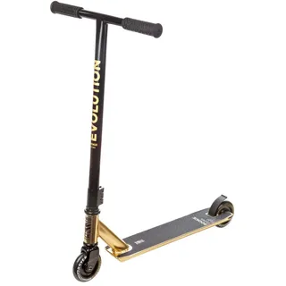 Raven Evolution Rookie Gold Gold