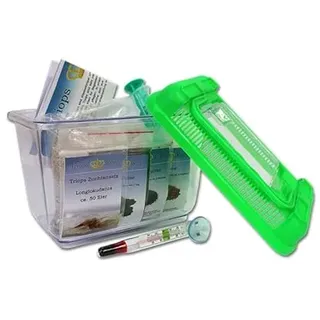 Triops King Urzeitkrebse Einsteiger Set II 300 Eier und einem grünen Deckel - Inkl. Futter, Anleitung, Sand, Thermometer, Triopseiern der Art Longicaudatus und vielem mehr