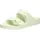 Faded Lime 36