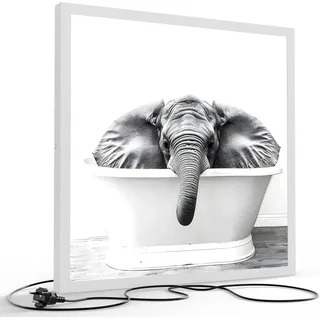 DEQORI LED-Bild & Lampe 60x60 cm Weiß 'Elefant im Porzellanbad' Leuchtbild LED Leuchte - Schwarz