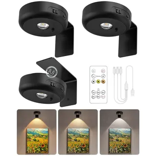 GOODEA Bilderleuchte Kabellos 2200mAh Aufladbar LED Spot Akku mit Fernbedienung und Timer- 3 Farben Dimmbar Bildbeleuchtung Kabellos Licht für Wand Bild Vitrinen Halloween Beleuchtung, 3er Set