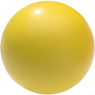 Sport-Thieme Volleybälle