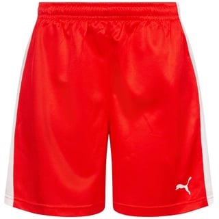 DHF Dänemark PUMA Damen Handball Shorts 750674-01-M